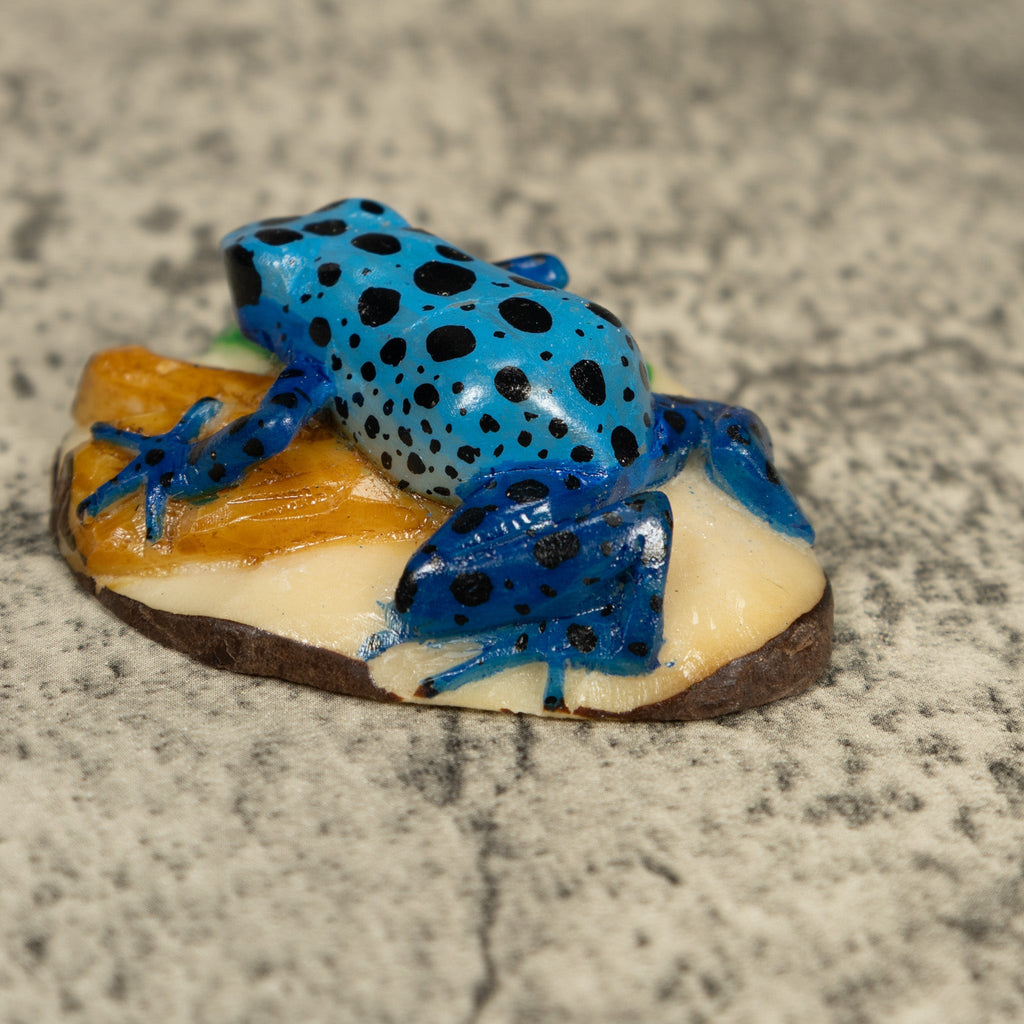 Blue Poison Dart Frog Tagua Carving