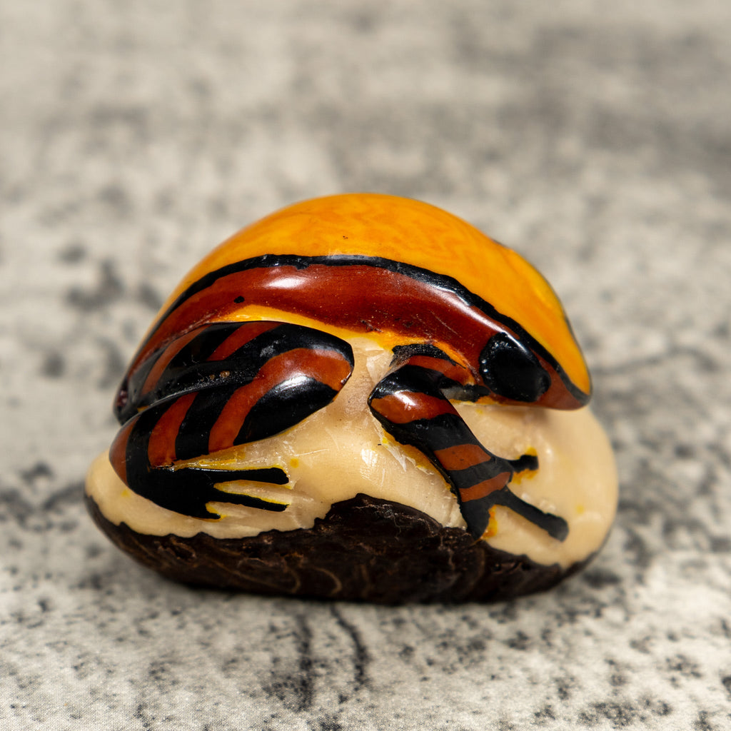 Bronze Orange And Black Poison Dart Frog Tagua Carving