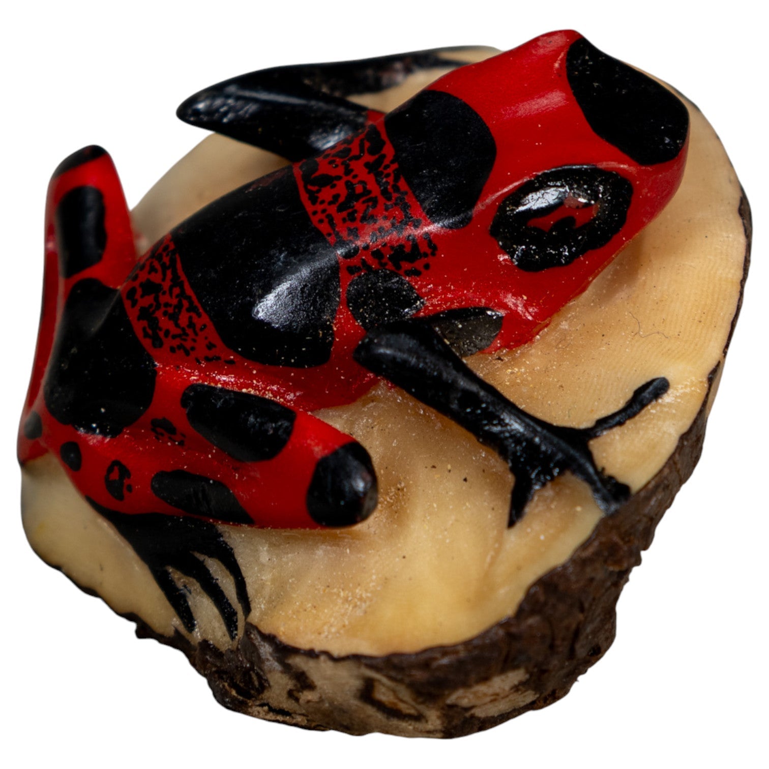 Red And Black Poison Dart Frog Tagua Carving