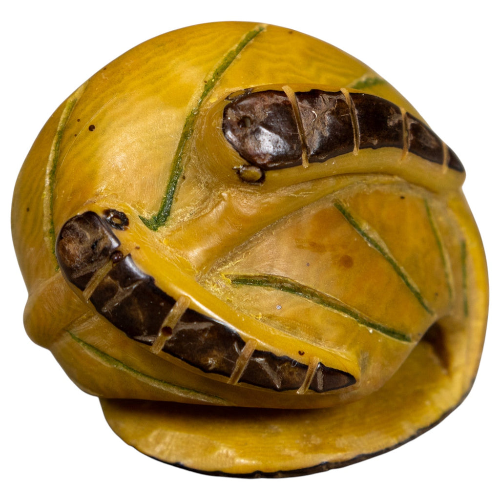 Vintage Caterpillar Tagua Carving
