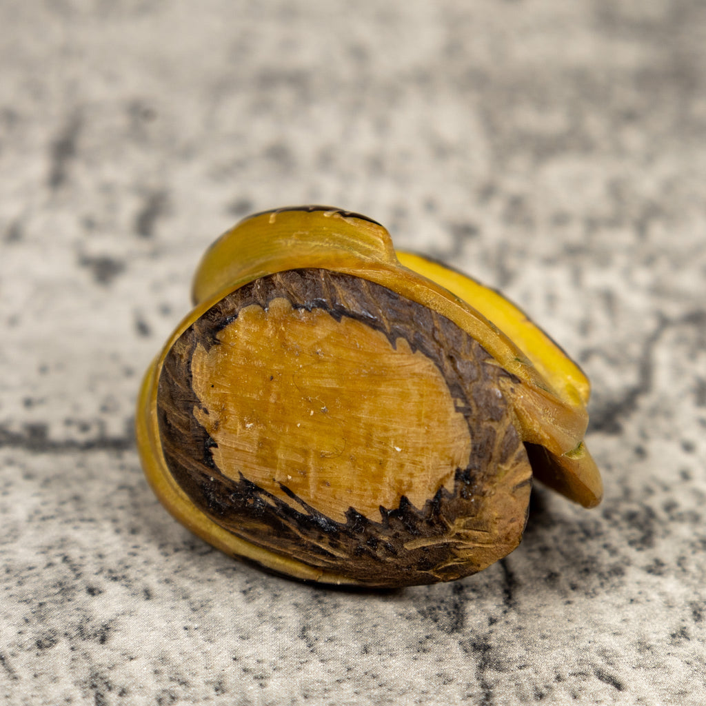 Vintage Caterpillar Tagua Carving