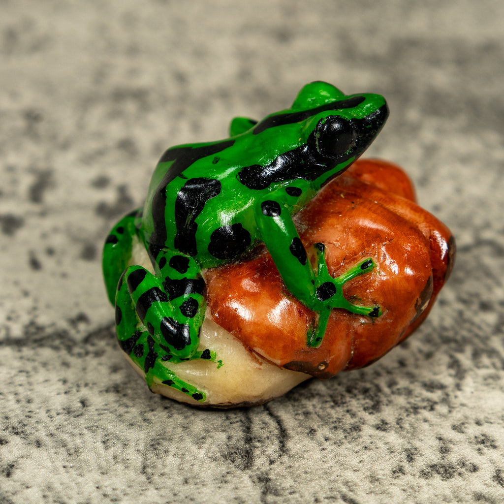 Green And Black Poison Dart Frog Tagua Carving