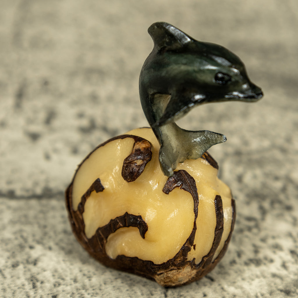 Gray Dolphin Riding Waves Tagua Carving