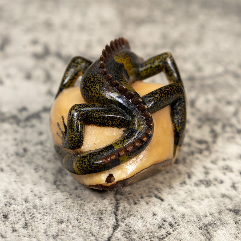 Brown Black And Green Iguana Lizard Tagua Carving