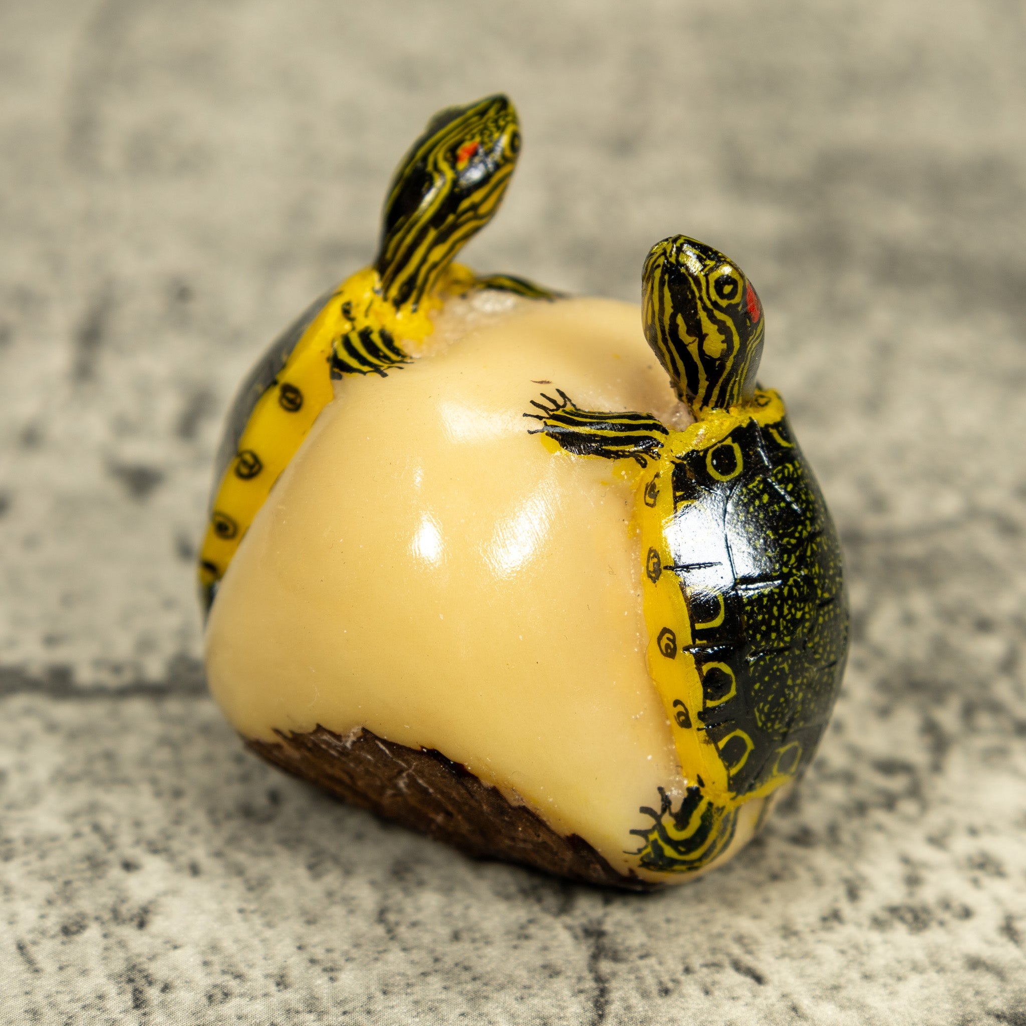 Double (2) Tortoise Turtle Tagua Carving