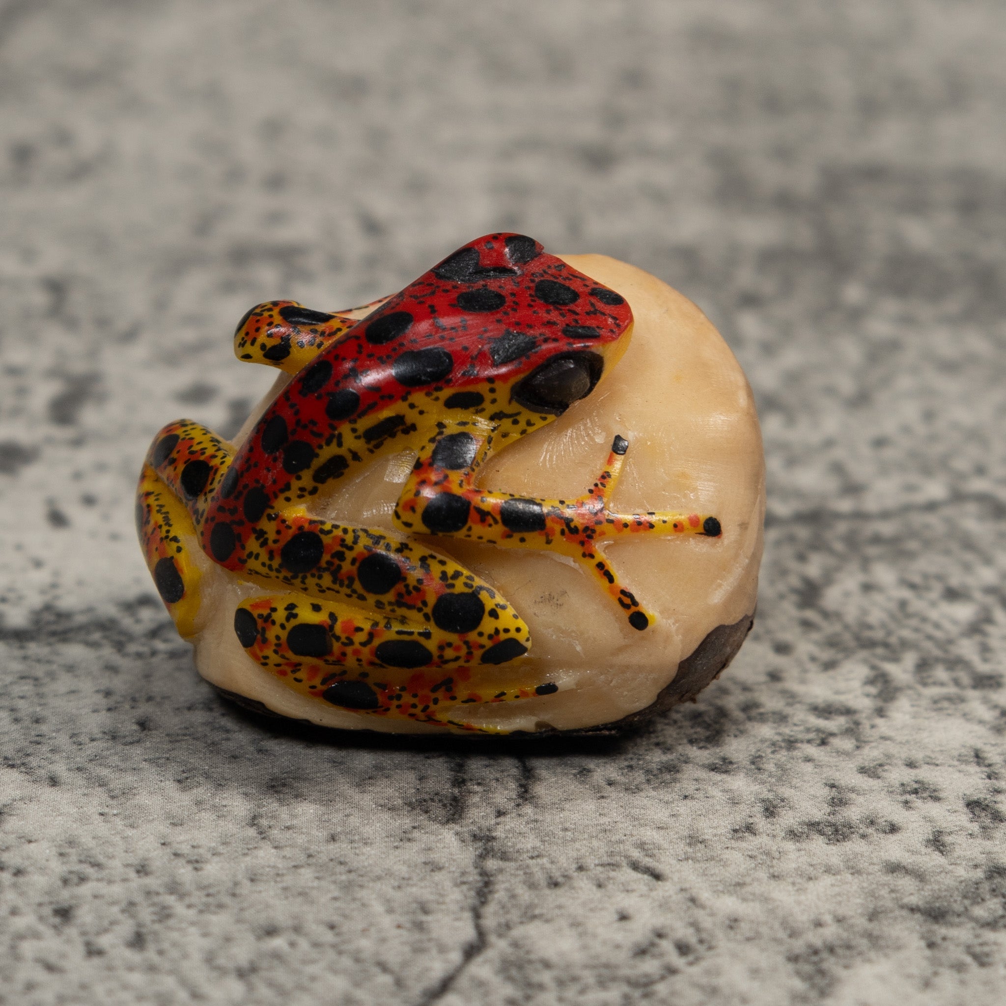 Vintage Red Gold And Black Poison Dart Frog Tagua Carving
