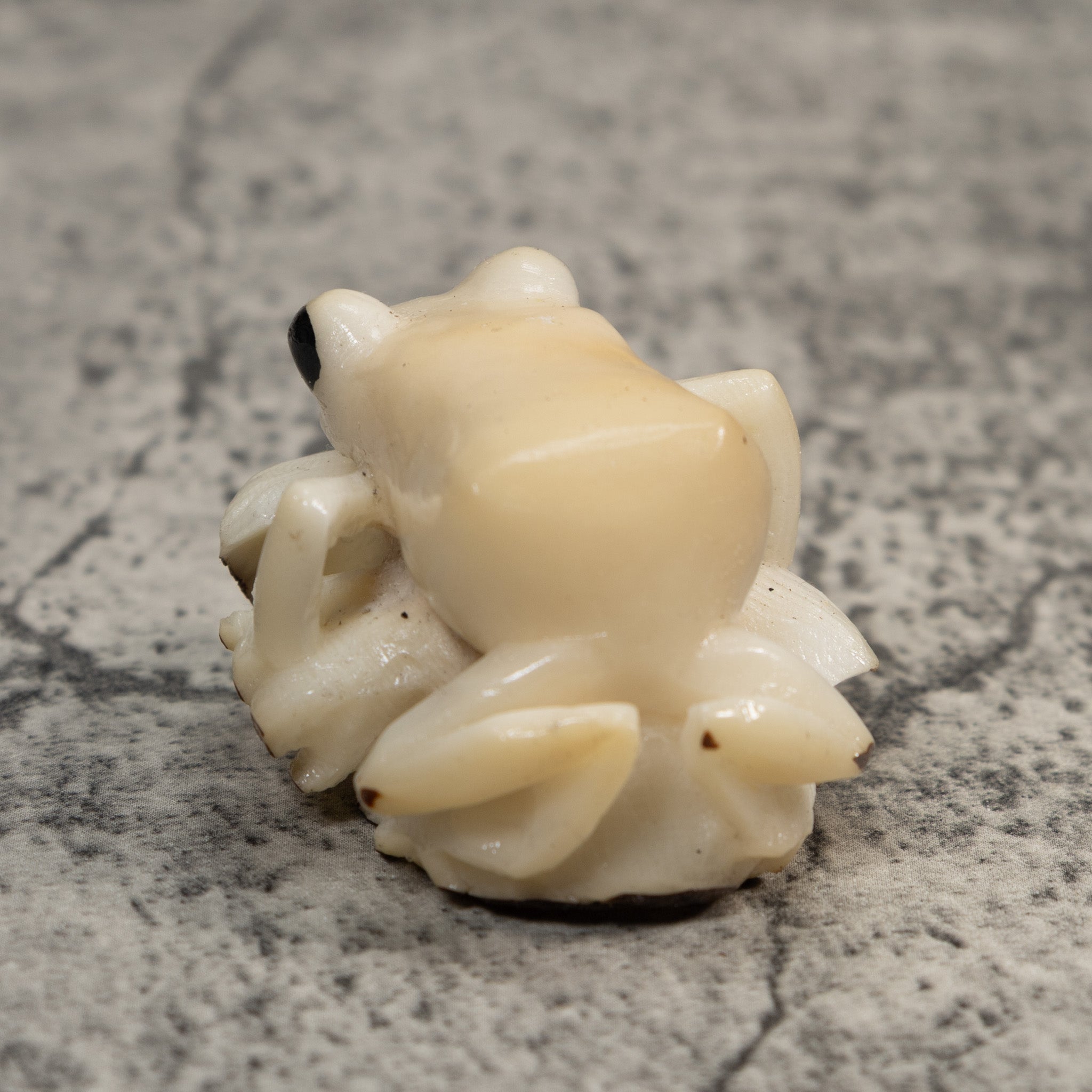 White Natural Frog Tagua Carving