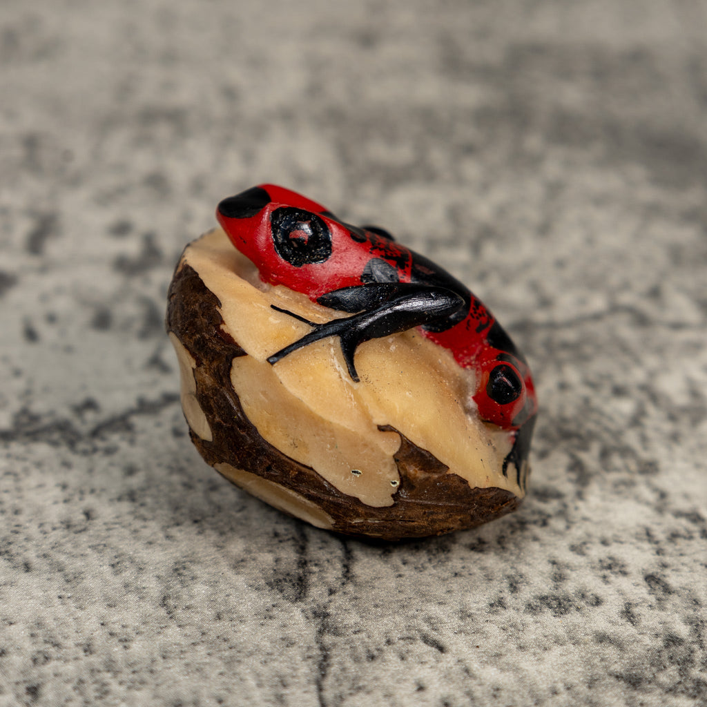 Red And Black Poison Dart Frog Tagua Carving