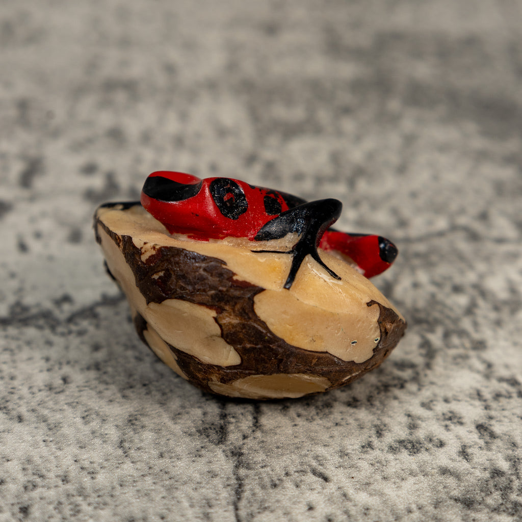 Red And Black Poison Dart Frog Tagua Carving