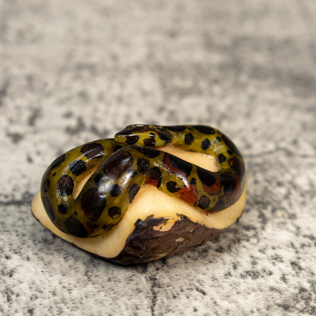 Black And Gold Snake Tagua Carving