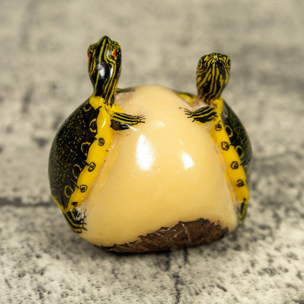Double (2) Tortoise Turtle Tagua Carving