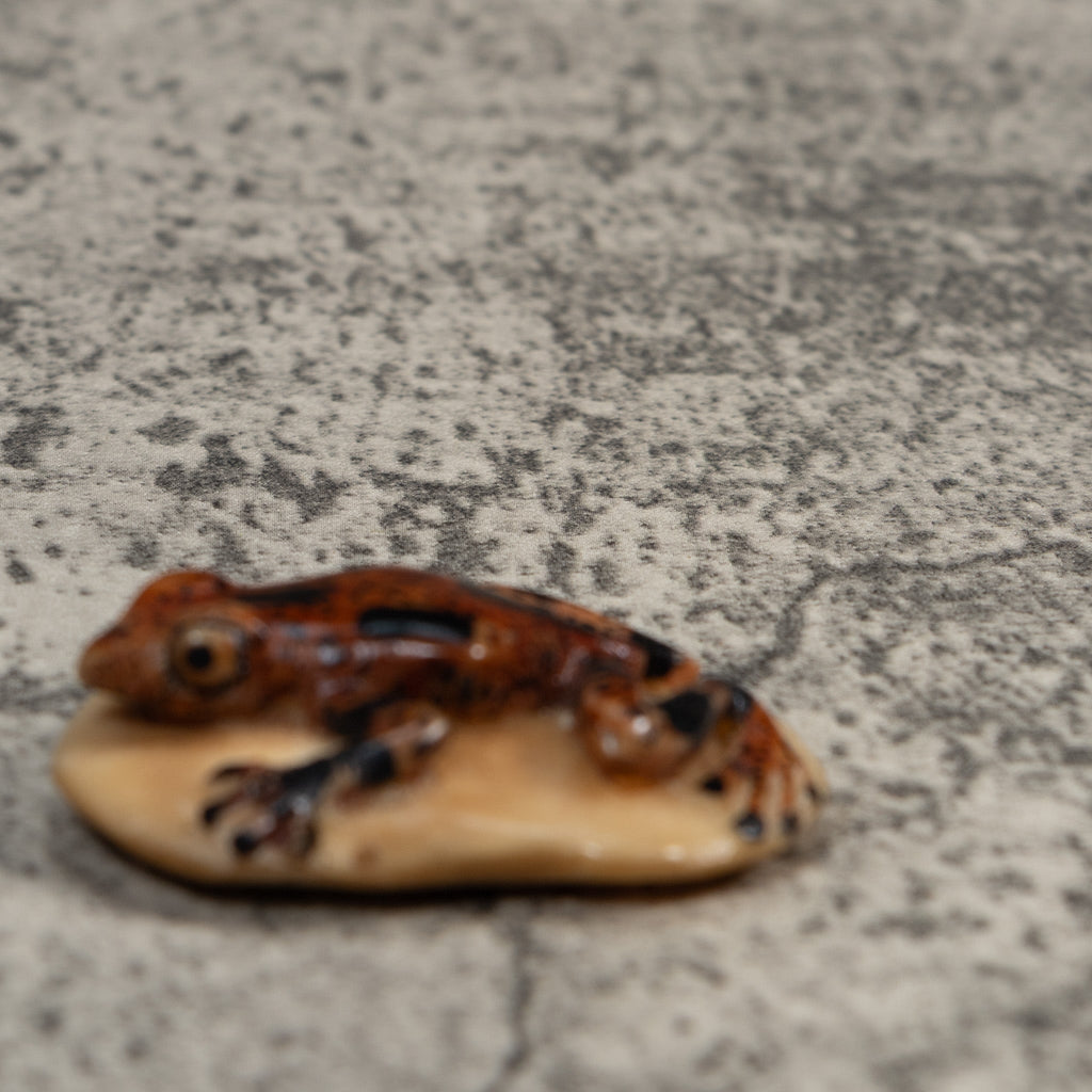 Vintage Brown And Black Poison Dart Frog Tagua Carving