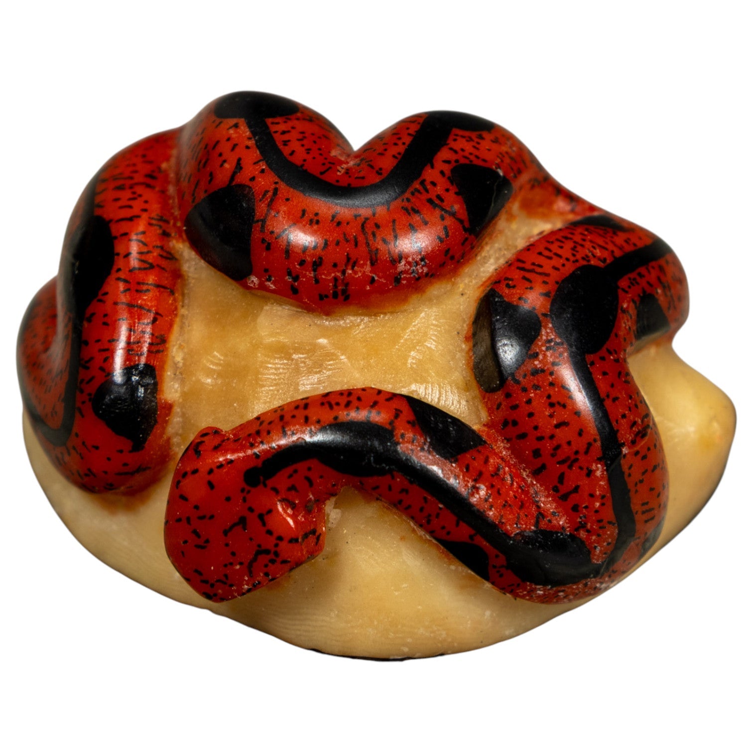 Red And Black Snake Tagua Carving