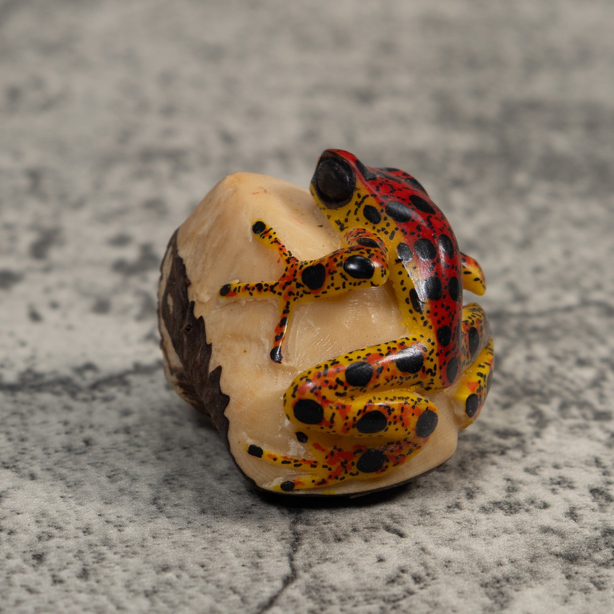 Vintage Red Gold And Black Poison Dart Frog Tagua Carving