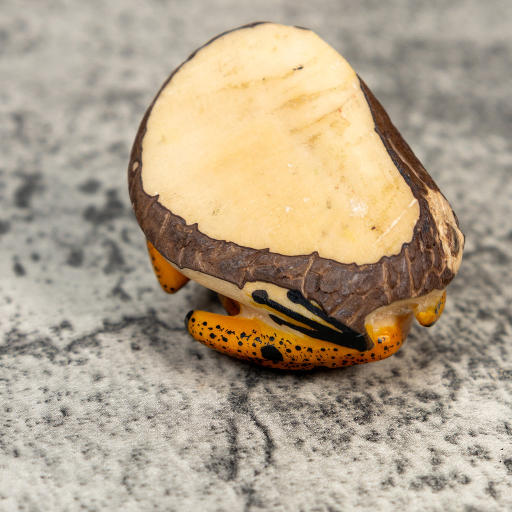 Gold And Black Poison Dart Frog Tagua Carving