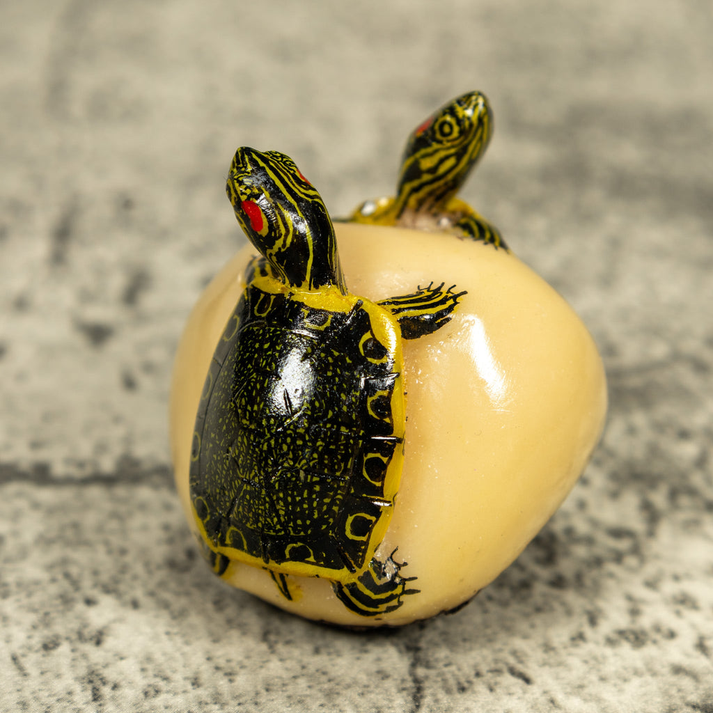 Double (2) Tortoise Turtle Tagua Carving