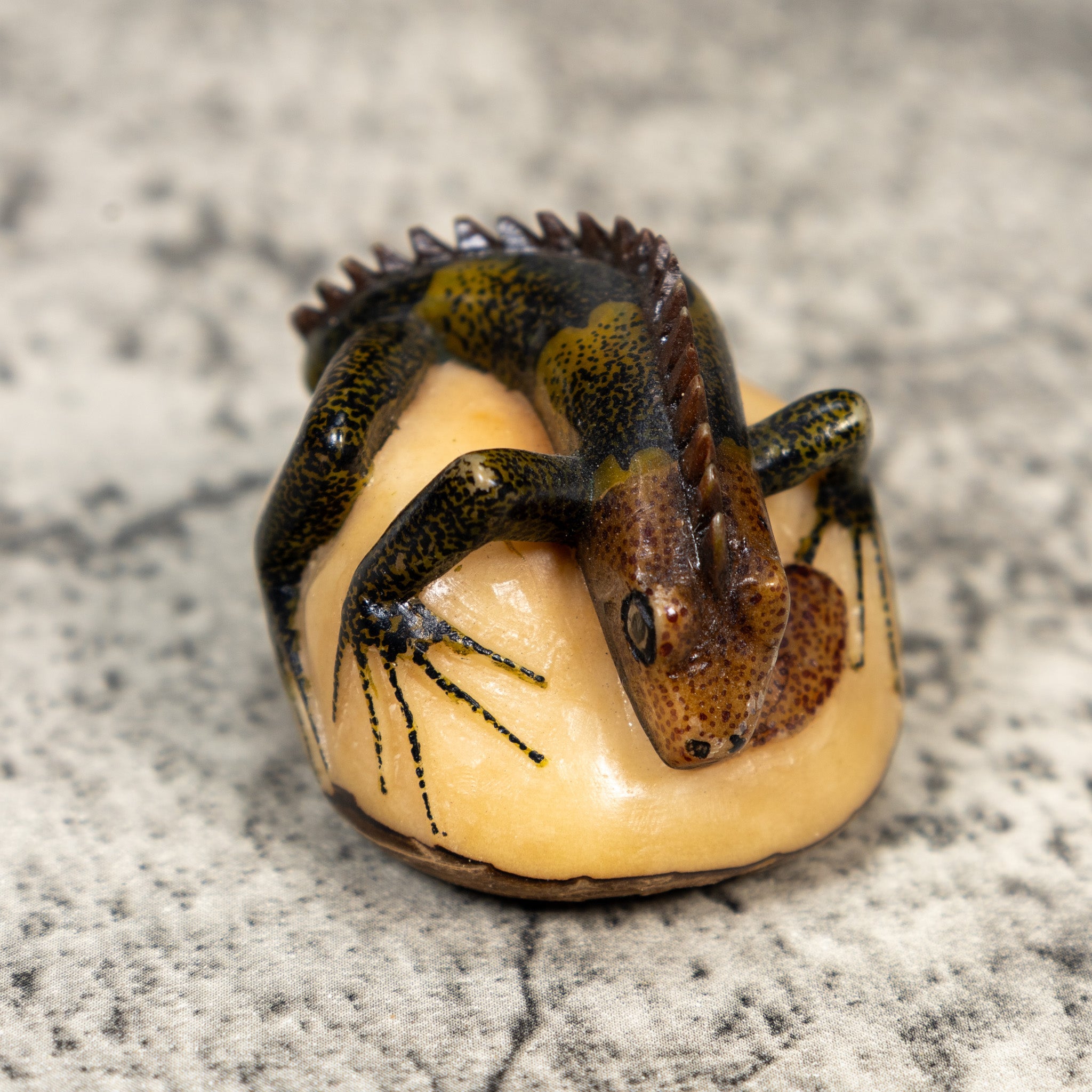 Brown Black And Green Iguana Lizard Tagua Carving