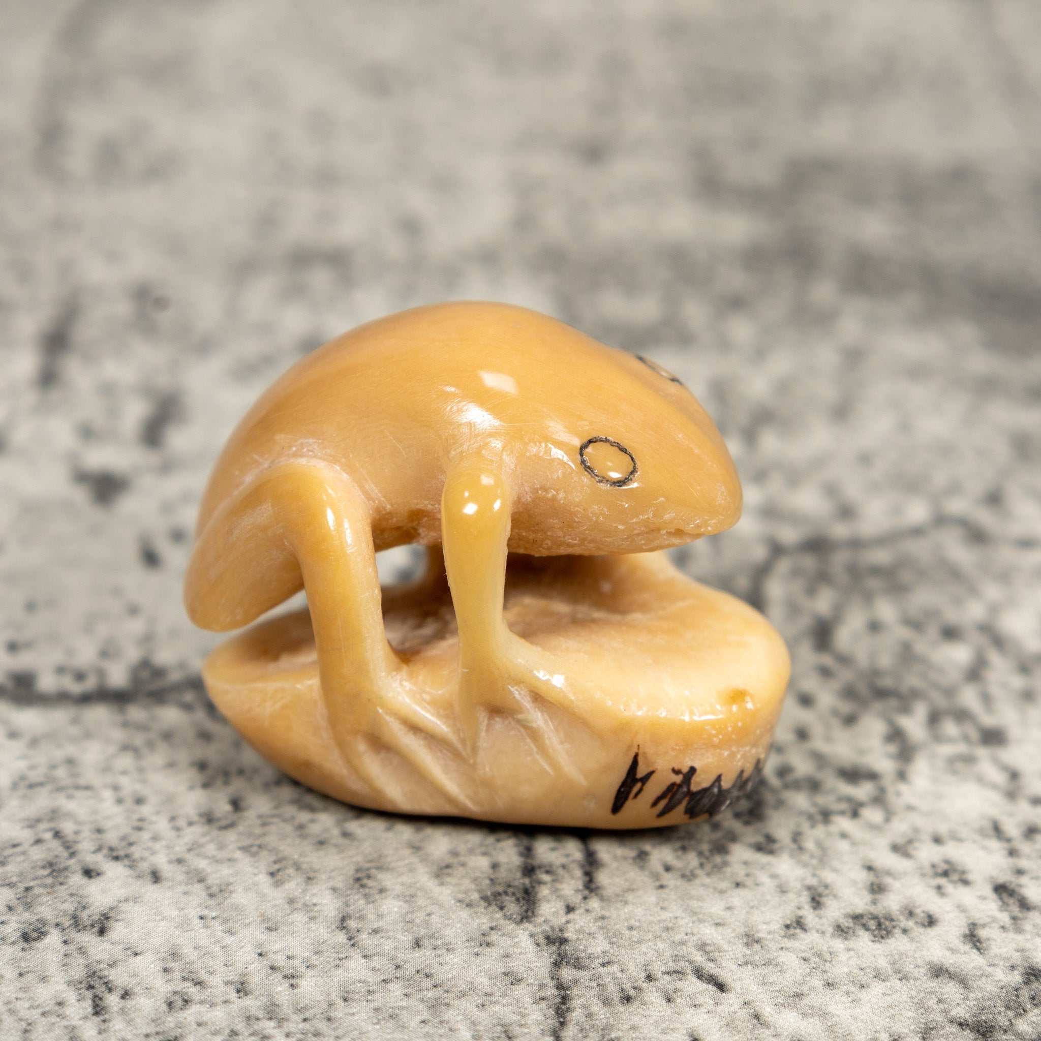 Natural White Toad Frog Tagua Carving