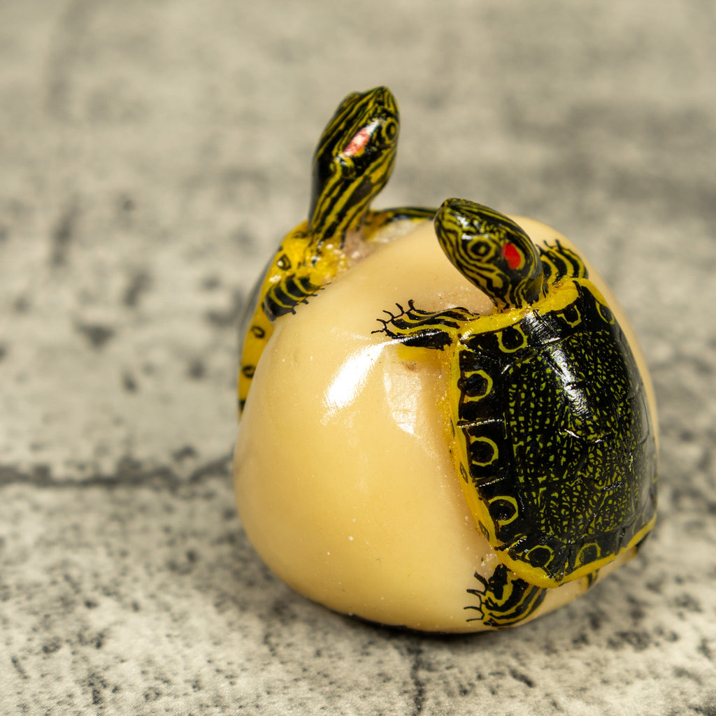 Double (2) Tortoise Turtle Tagua Carving