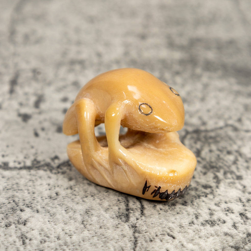 Natural White Toad Frog Tagua Carving