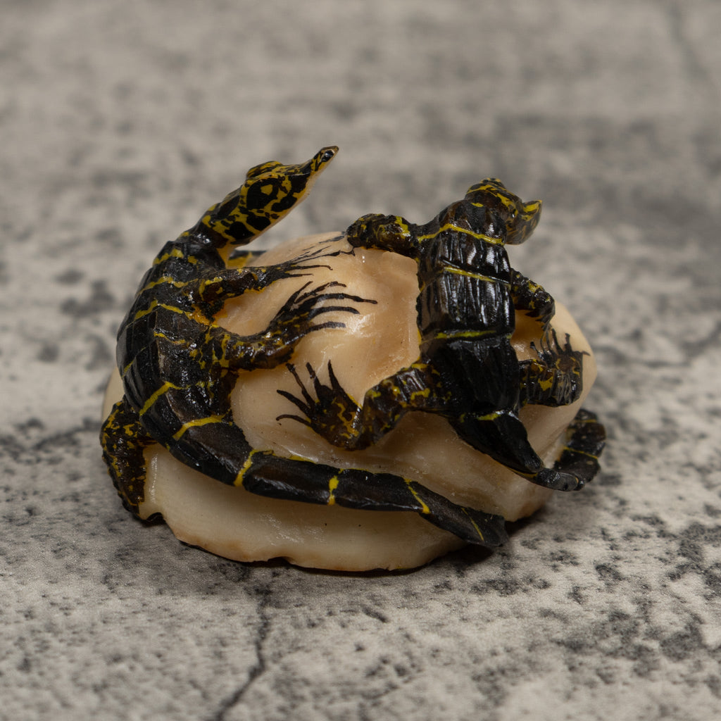 Double Alligator Crocodile Tagua Carving