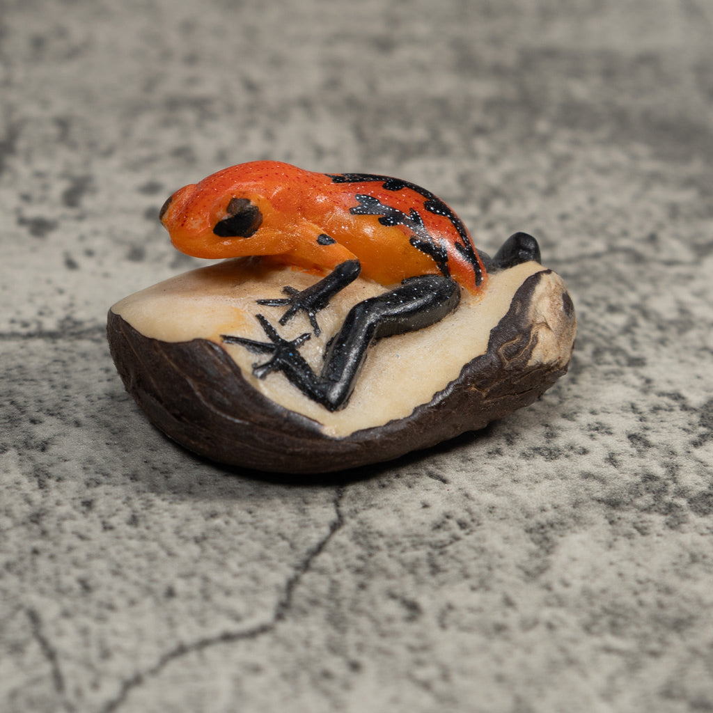 Black And Orange Poison Dart Frog Tagua Carving