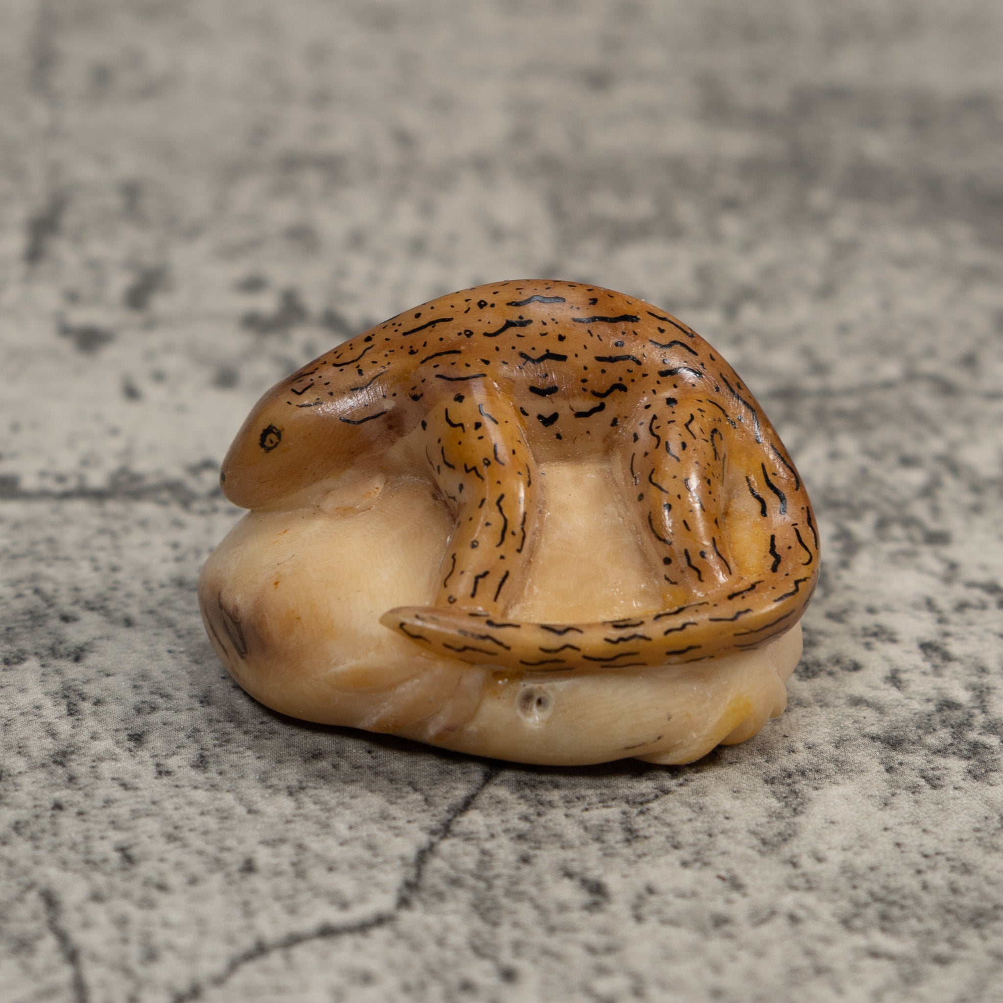 Vintage Brown And Black Gecko Lizard Tagua Carving