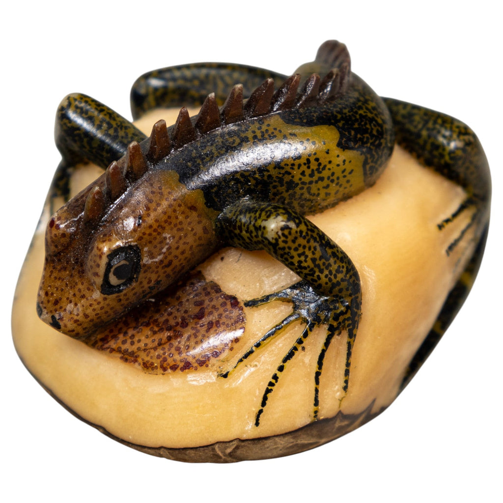 Brown Black And Green Iguana Lizard Tagua Carving