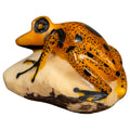 Gold And Black Poison Dart Frog Tagua Carving