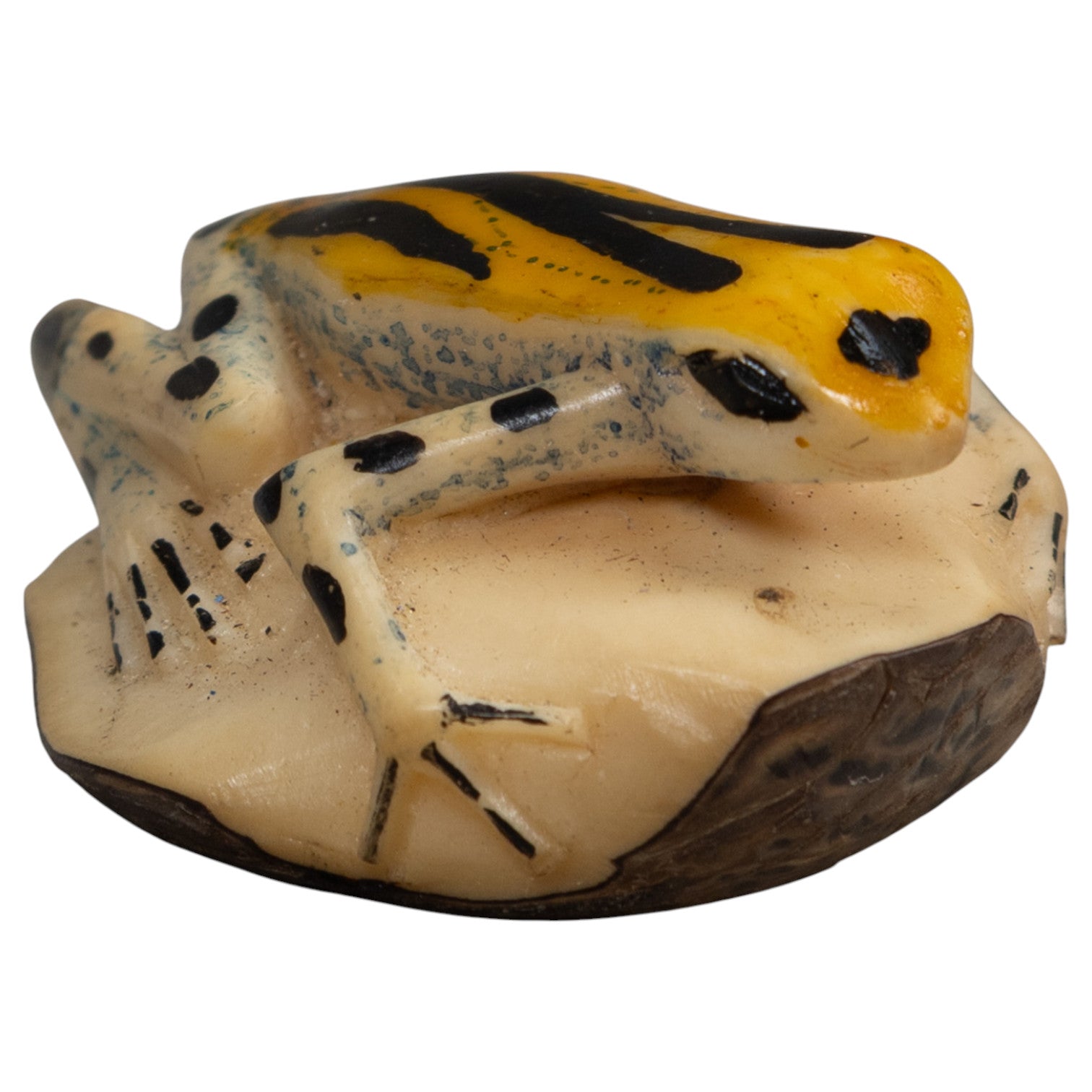 Gold Black And Blue Poison Dart Frog Tagua Carving