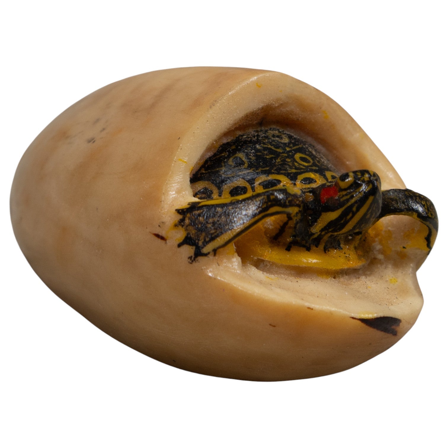 Tortise And Egg Turtle Tagua Carving