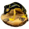 Vintage Black And Yellow Poison Dart Frog Tagua Carving