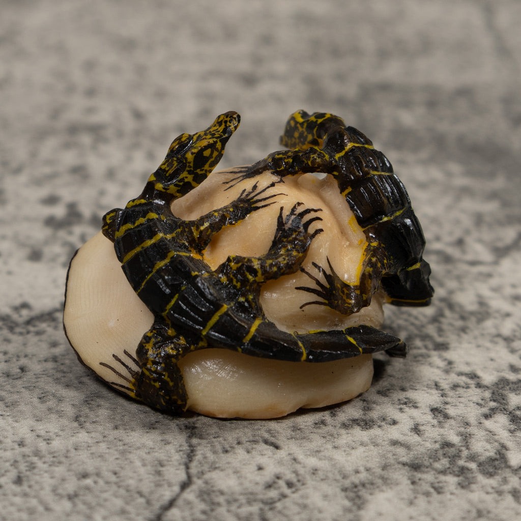 Double Alligator Crocodile Tagua Carving
