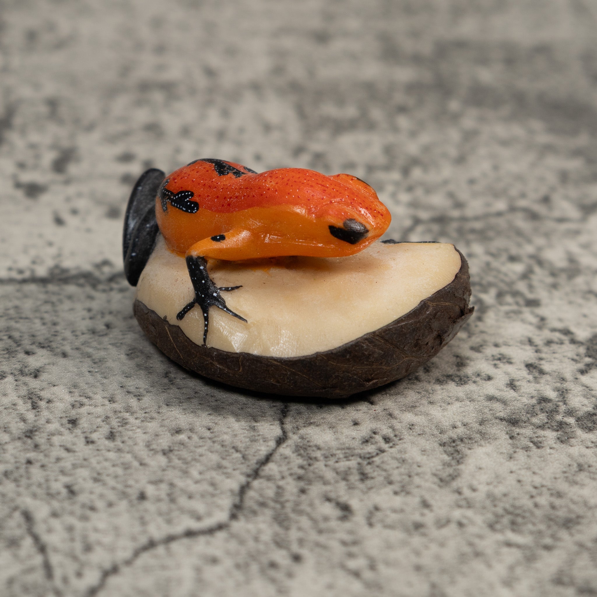 Black And Orange Poison Dart Frog Tagua Carving