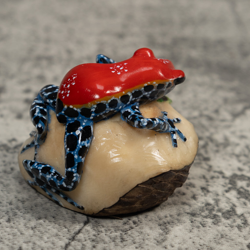 Red And Blue Poison Dart Frog Tagua Carving