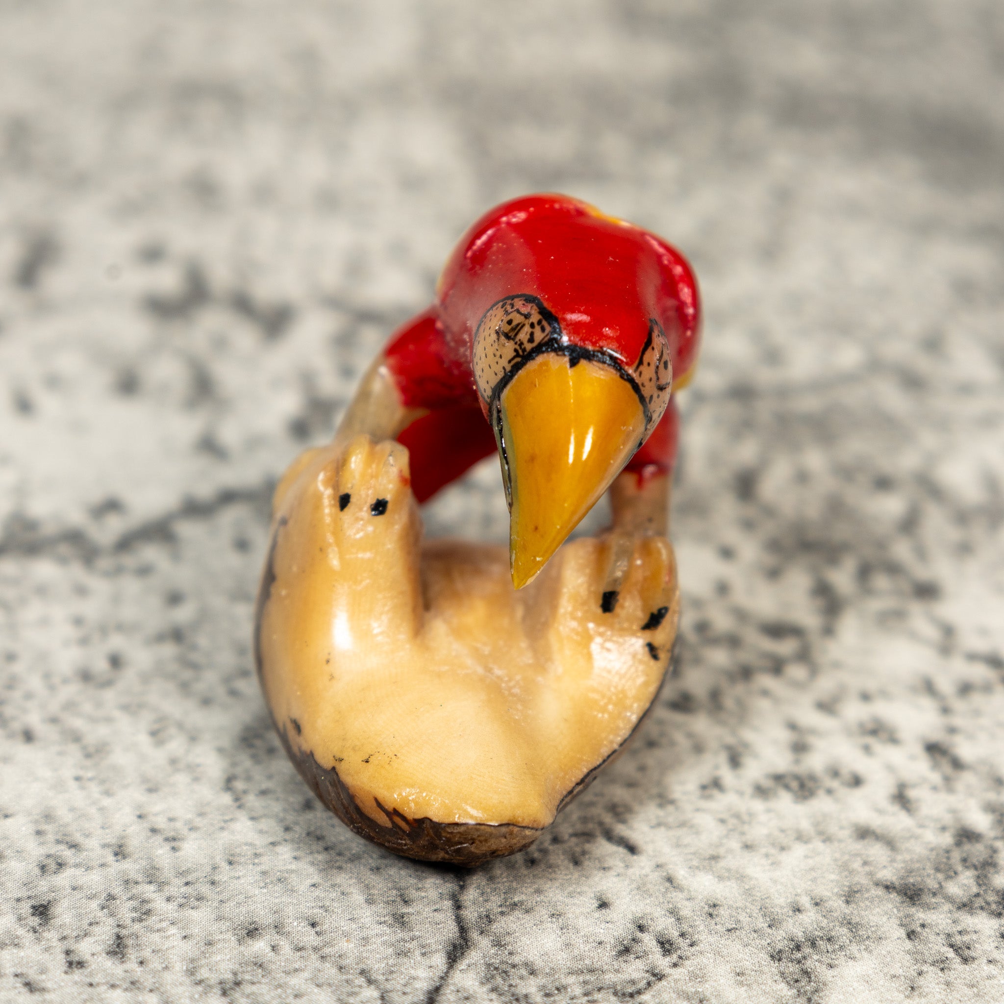 Vintage Red Yellow And Blue Parrot Macaw Tagua Carving