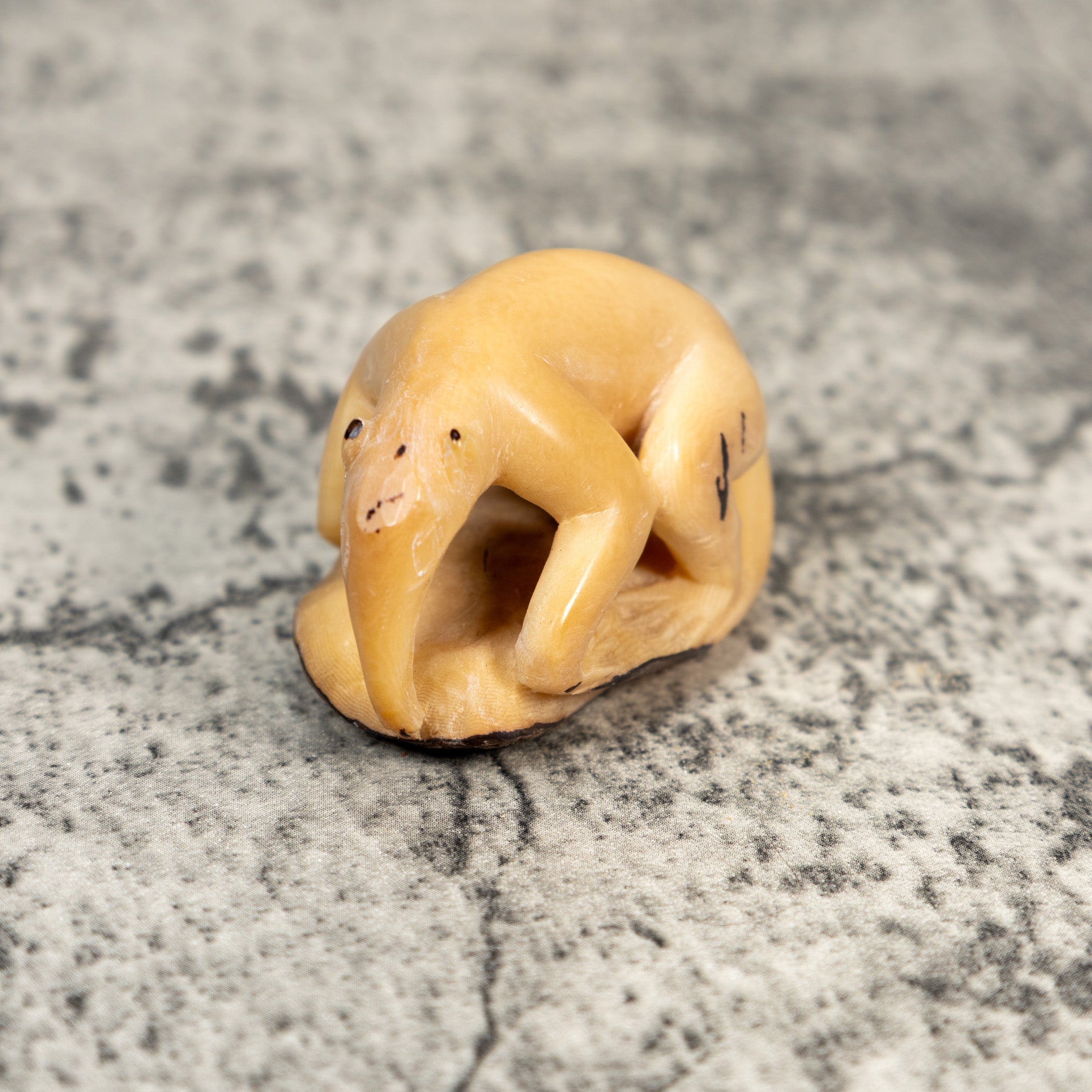 Natural White Anteater Tagua Carving