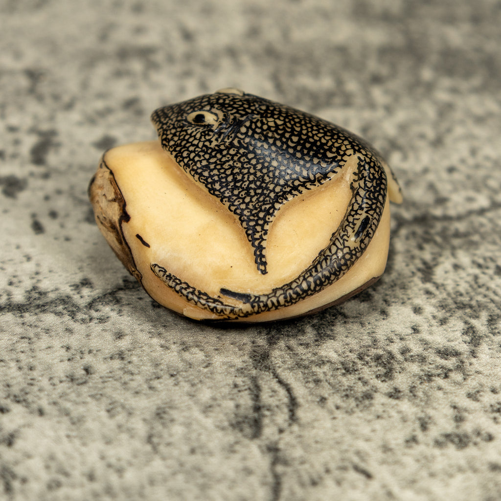 Vintage Black And White Ocean Stingray Tagua Carving