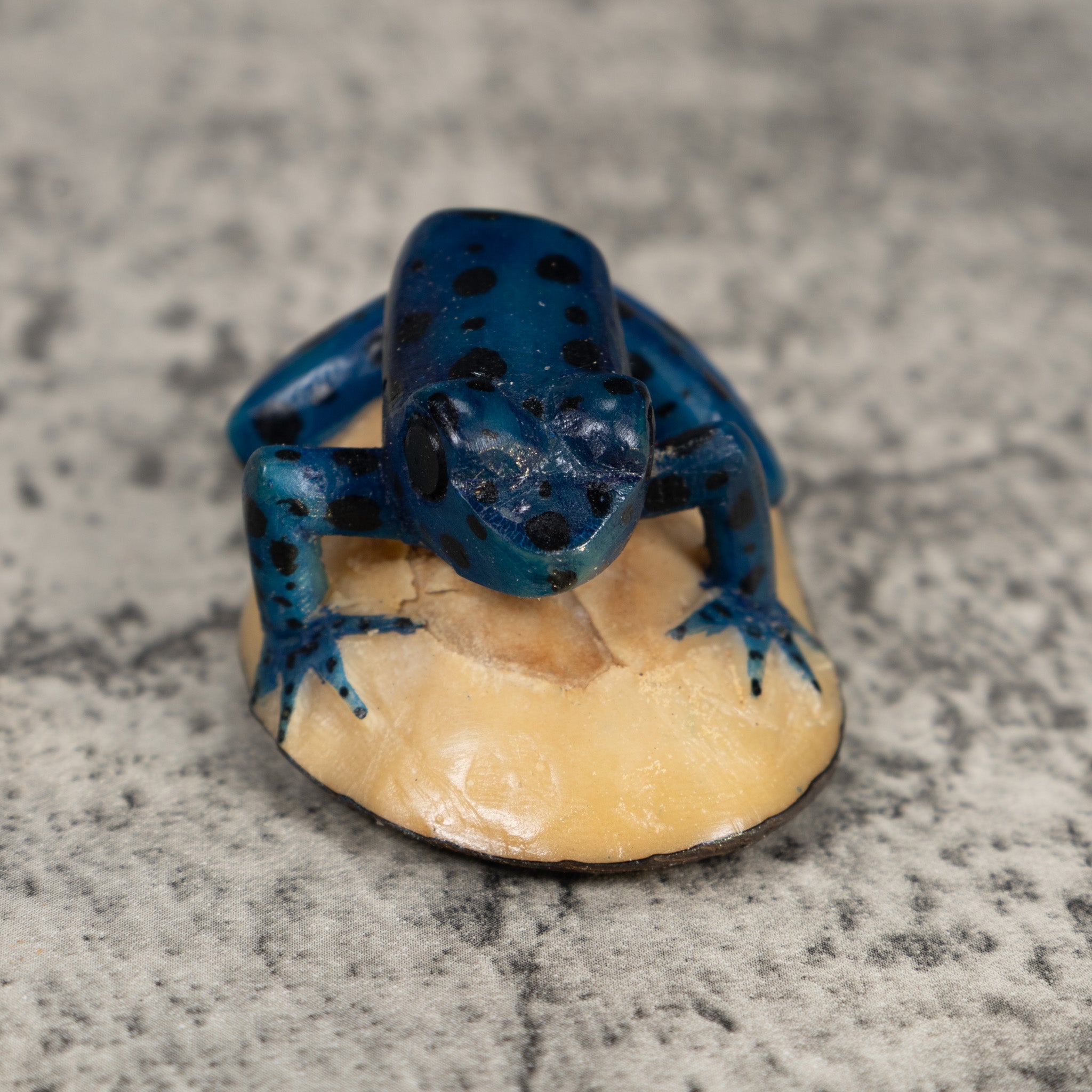 Vintage Black Anbd Blue Poison Dart Frog Tagua Carving