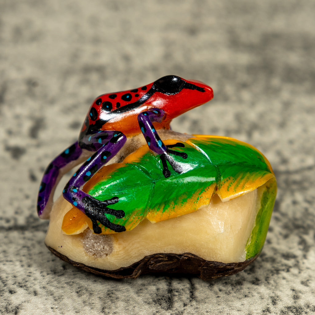 Orange Black And Blue Poison Dart Frog Tagua Carving