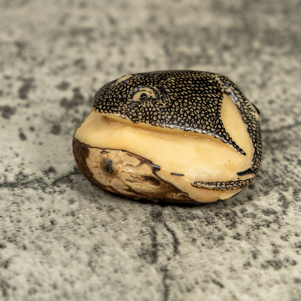 Vintage Black And White Ocean Stingray Tagua Carving
