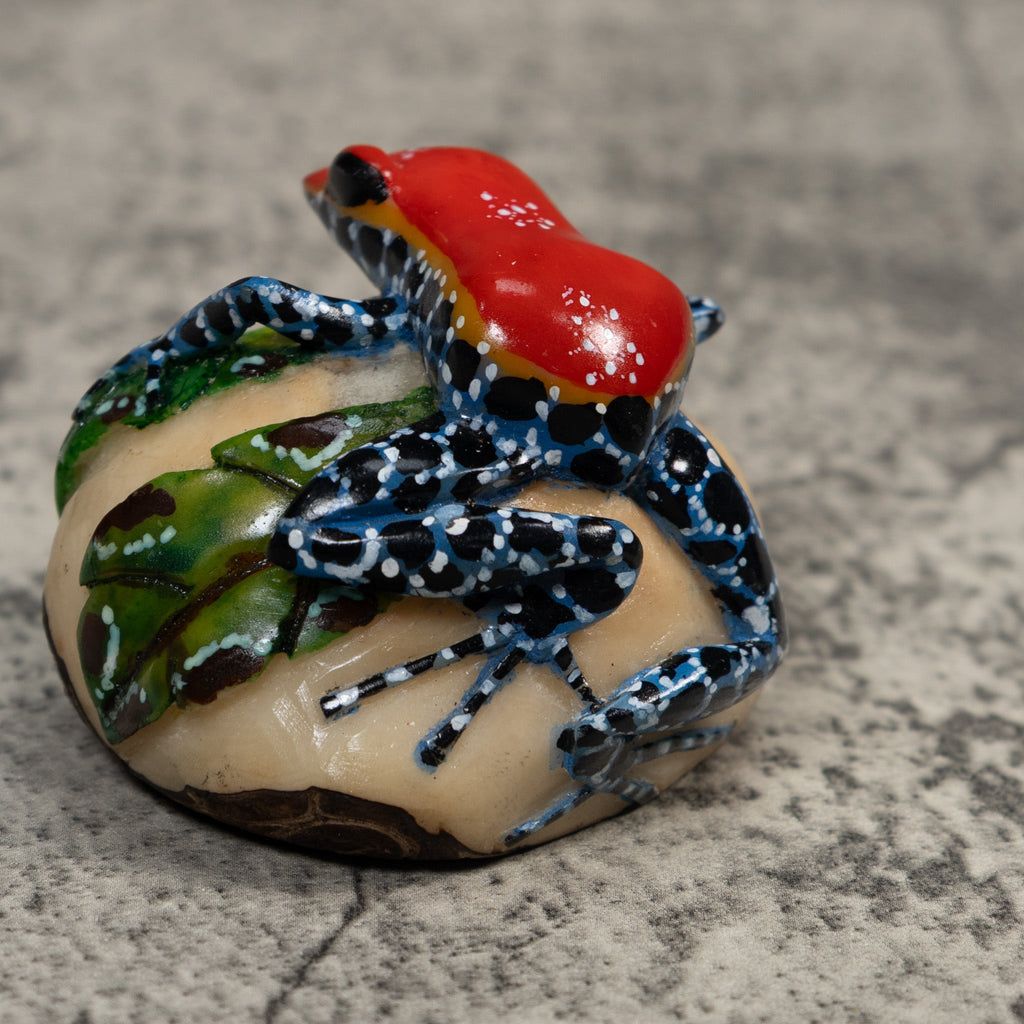 Red And Blue Poison Dart Frog Tagua Carving