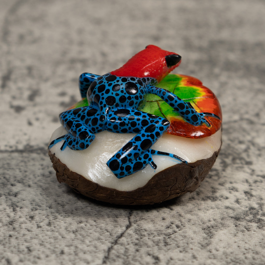 Red And Blue Poison Dart Frog Tagua Carving