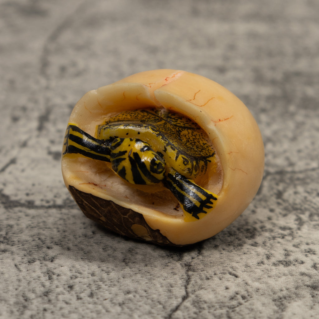 Tortise And Egg Tagua Carving