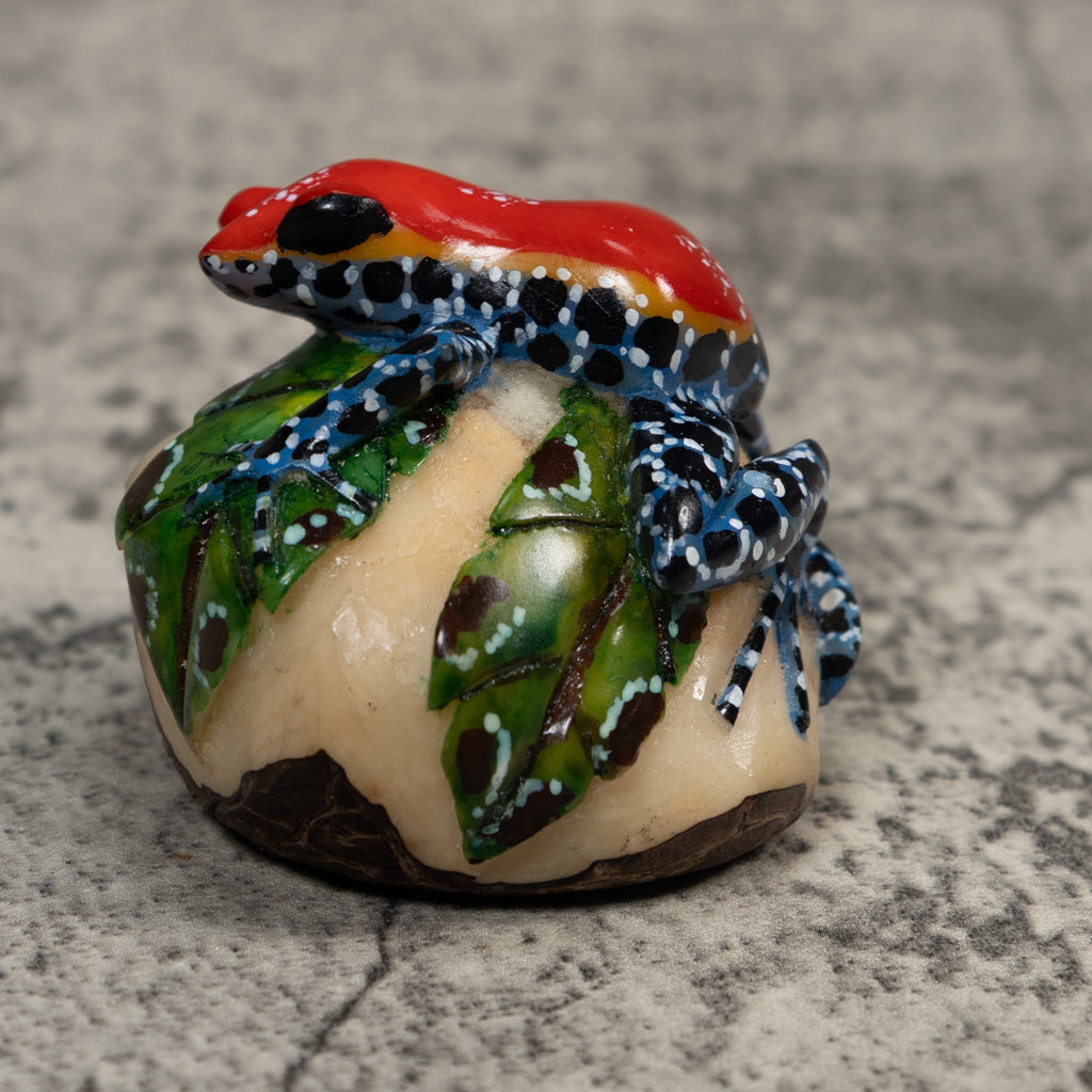 Red And Blue Poison Dart Frog Tagua Carving