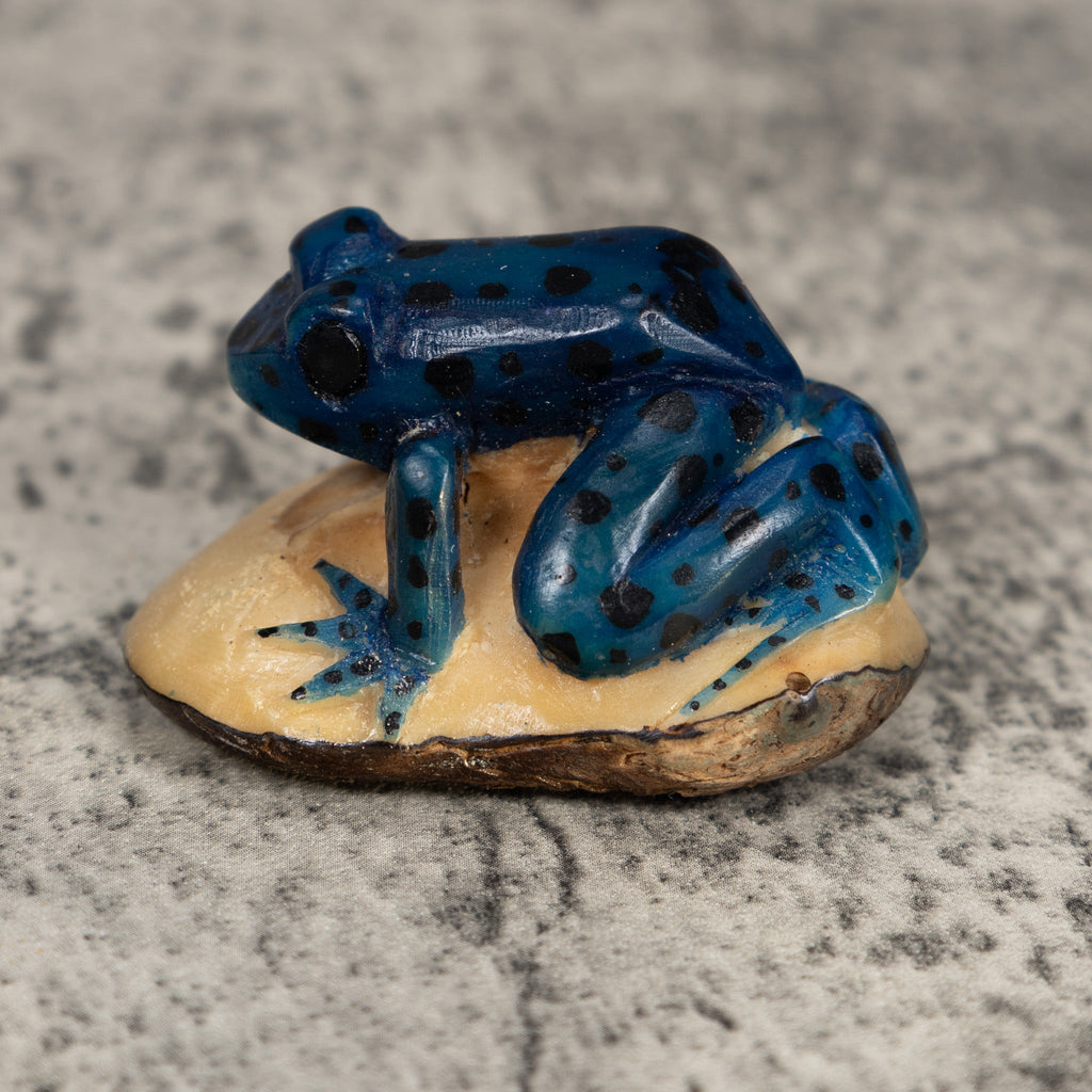 Vintage Black Anbd Blue Poison Dart Frog Tagua Carving