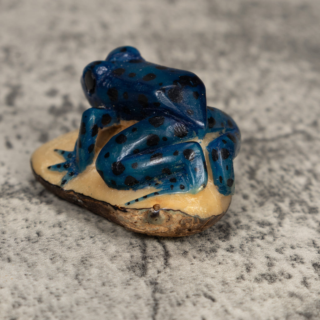 Vintage Black Anbd Blue Poison Dart Frog Tagua Carving