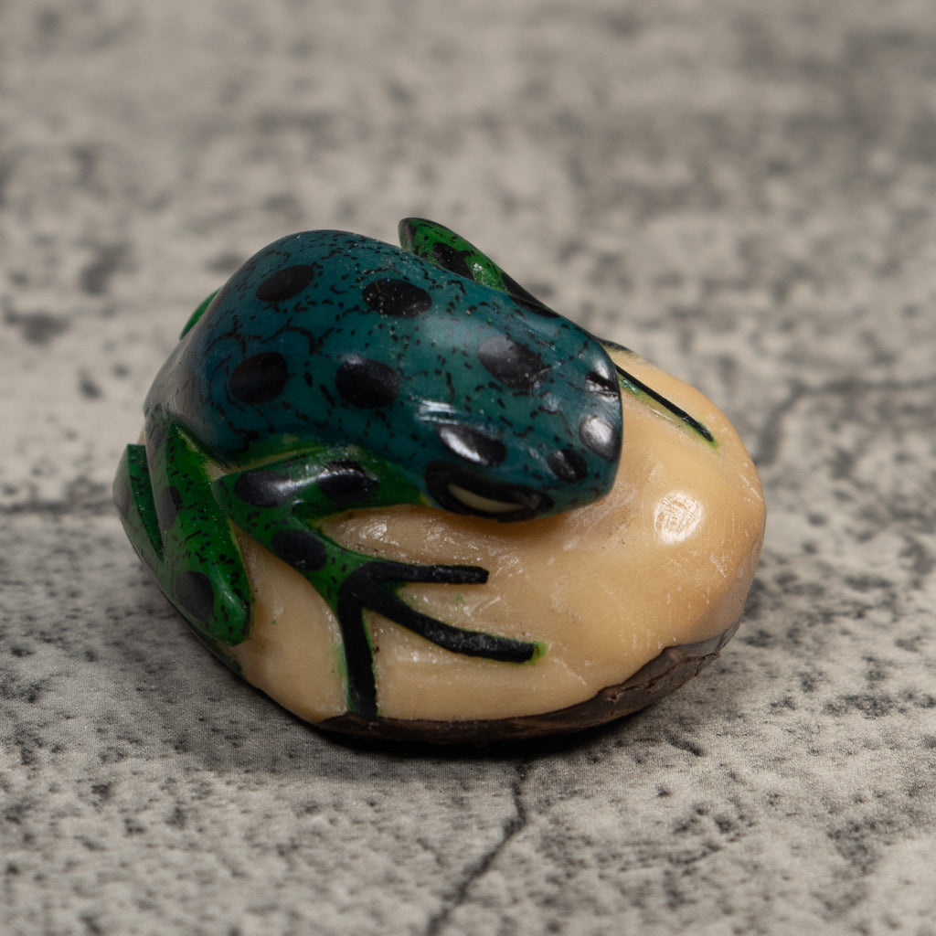 Vintage Blue And Black Rainforest Frog Tagua Carving