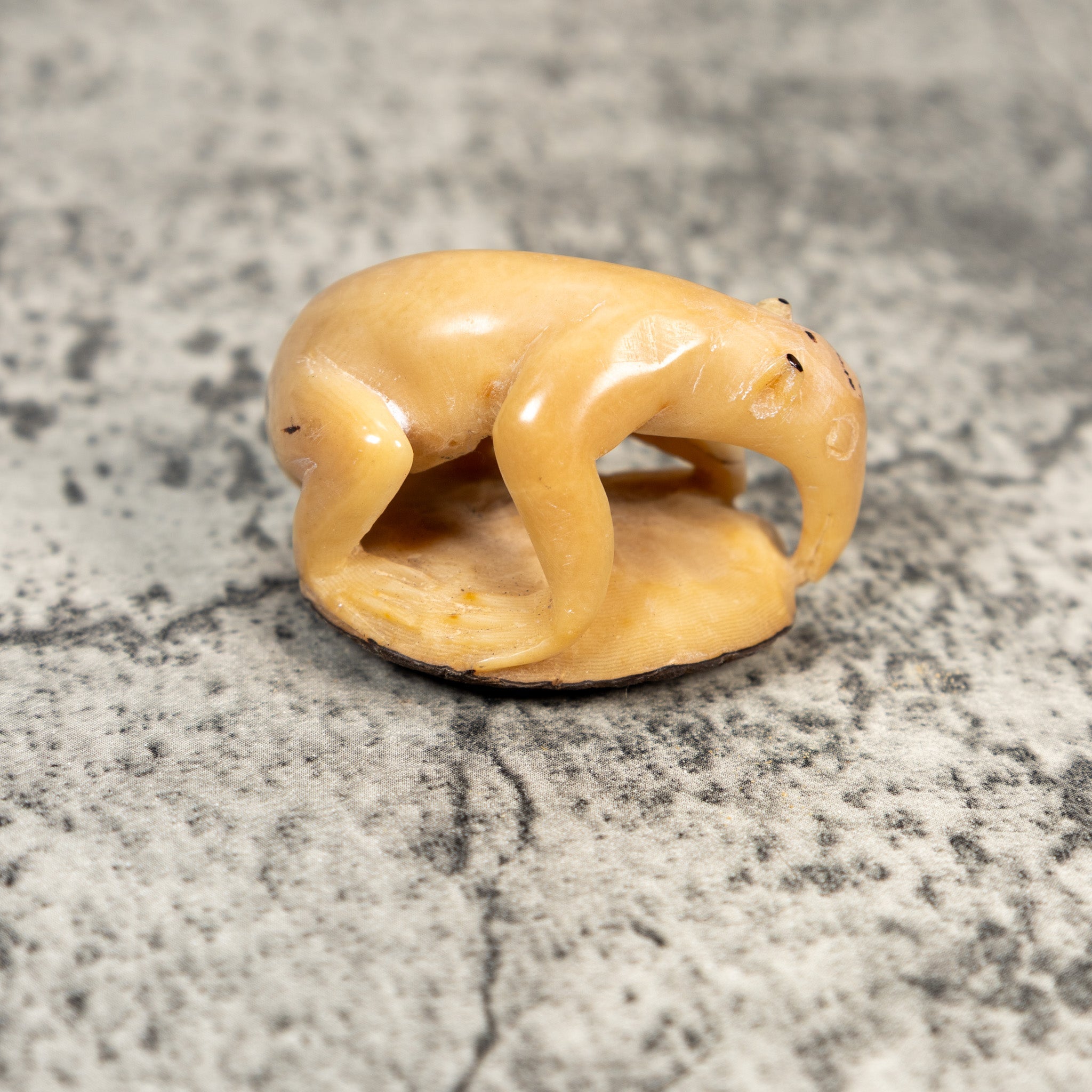 Natural White Anteater Tagua Carving