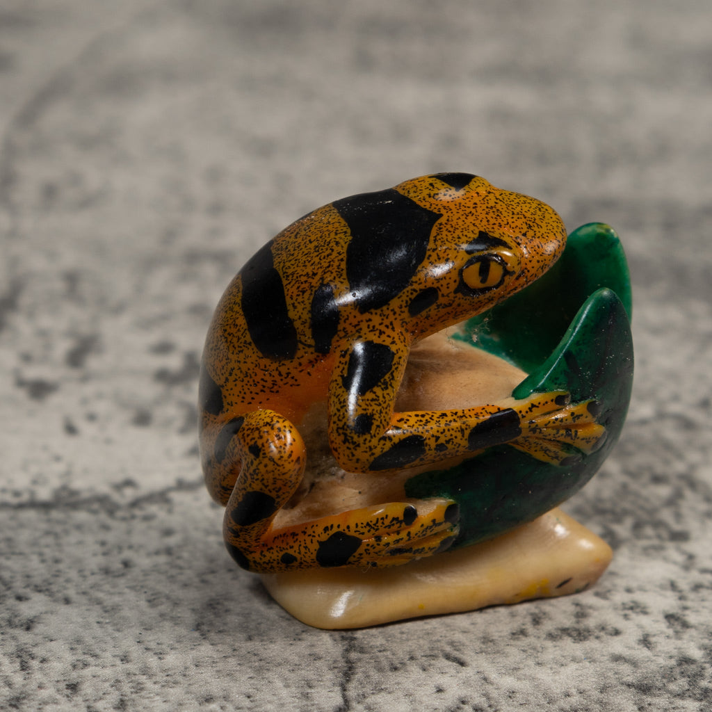 Black And Gold Poison Dart Frog With Leaves Tagua Carving